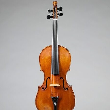 A violin seen from the front, scroll uppermost.